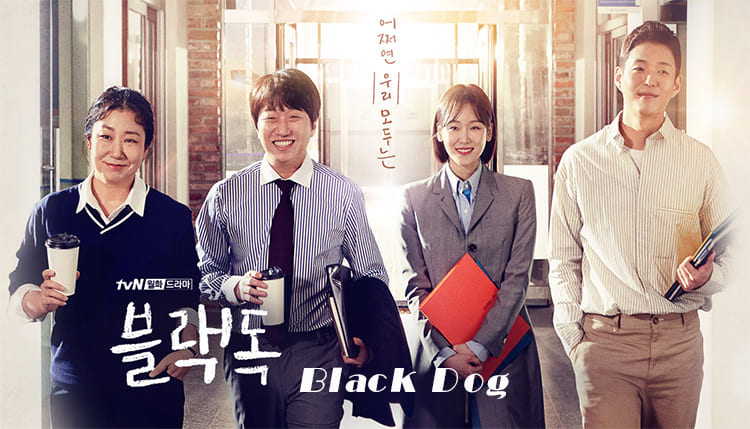 韩剧《Black Dog》