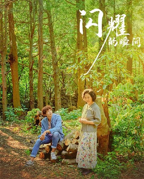 韩国电影《闪耀的瞬间》在线观看,中字下载